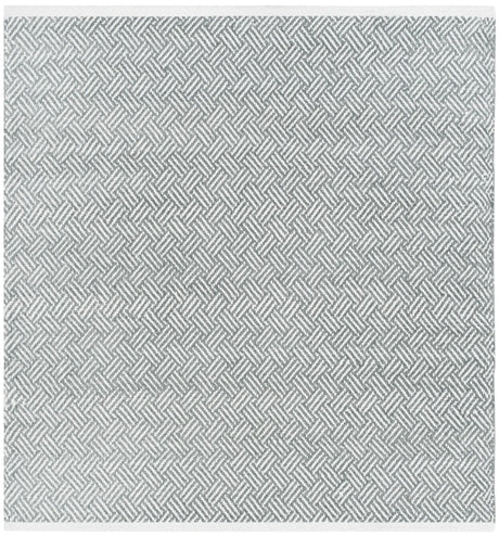 Safavieh Boston 4'-0" x 4'-0" Rug in Grey