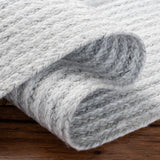 Safavieh Cape Cod 4'-0" x 6'-0" Rug in Grey / Ivory