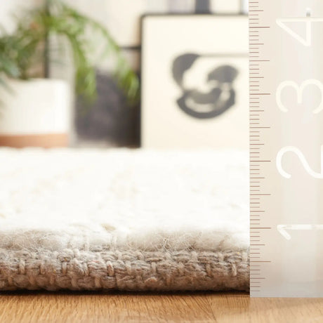 Safavieh Natural Fiber 4'-0" x 6'-0" Rug in Bleach / Ivory