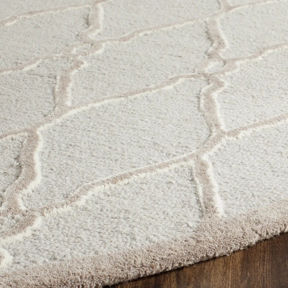 Safavieh Cambridge 6'-0" x 6'-0" Rug in Light Grey / Ivory