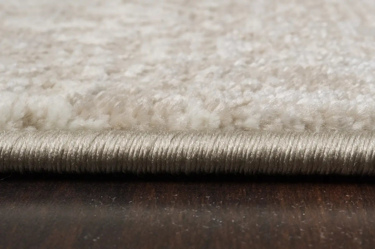 Dynamic Rugs Atlas 2573 Power Loomed Transitional Beige Rug - Pile