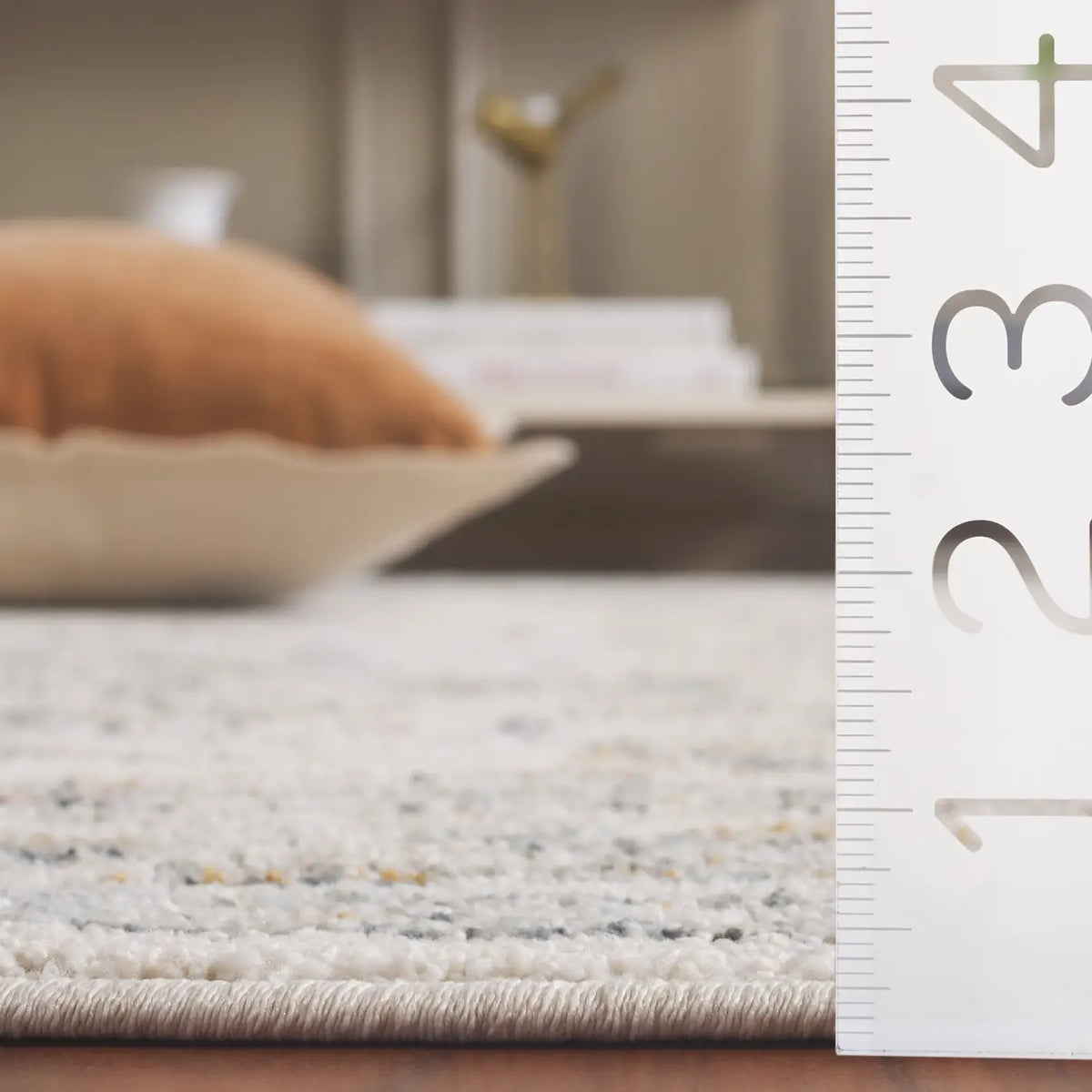 Safavieh Avalon 4'-0" x 6'-0" Rug in Ivory / Light Blue