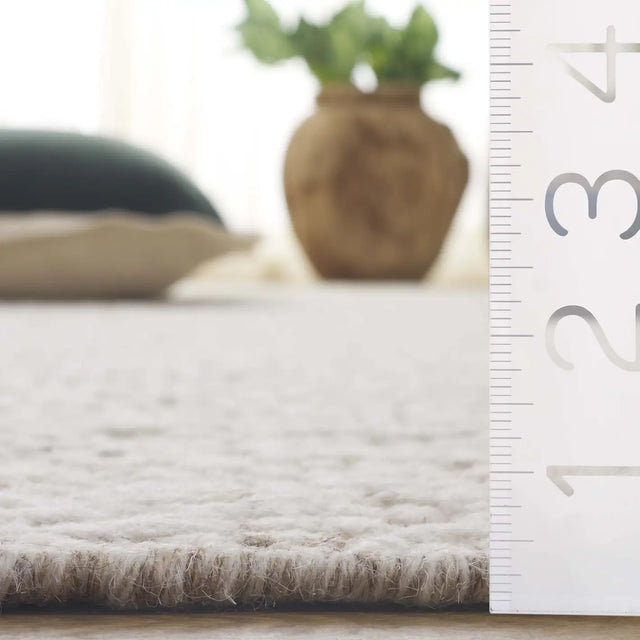 Safavieh Manhattan 4'-0" x 6'-0" Rug in Ivory / Beige