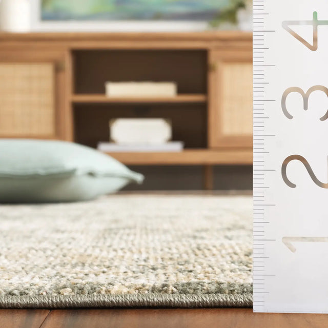 Safavieh Hazel 500 4'-0" x 6'-0" Rug in Green / Beige
