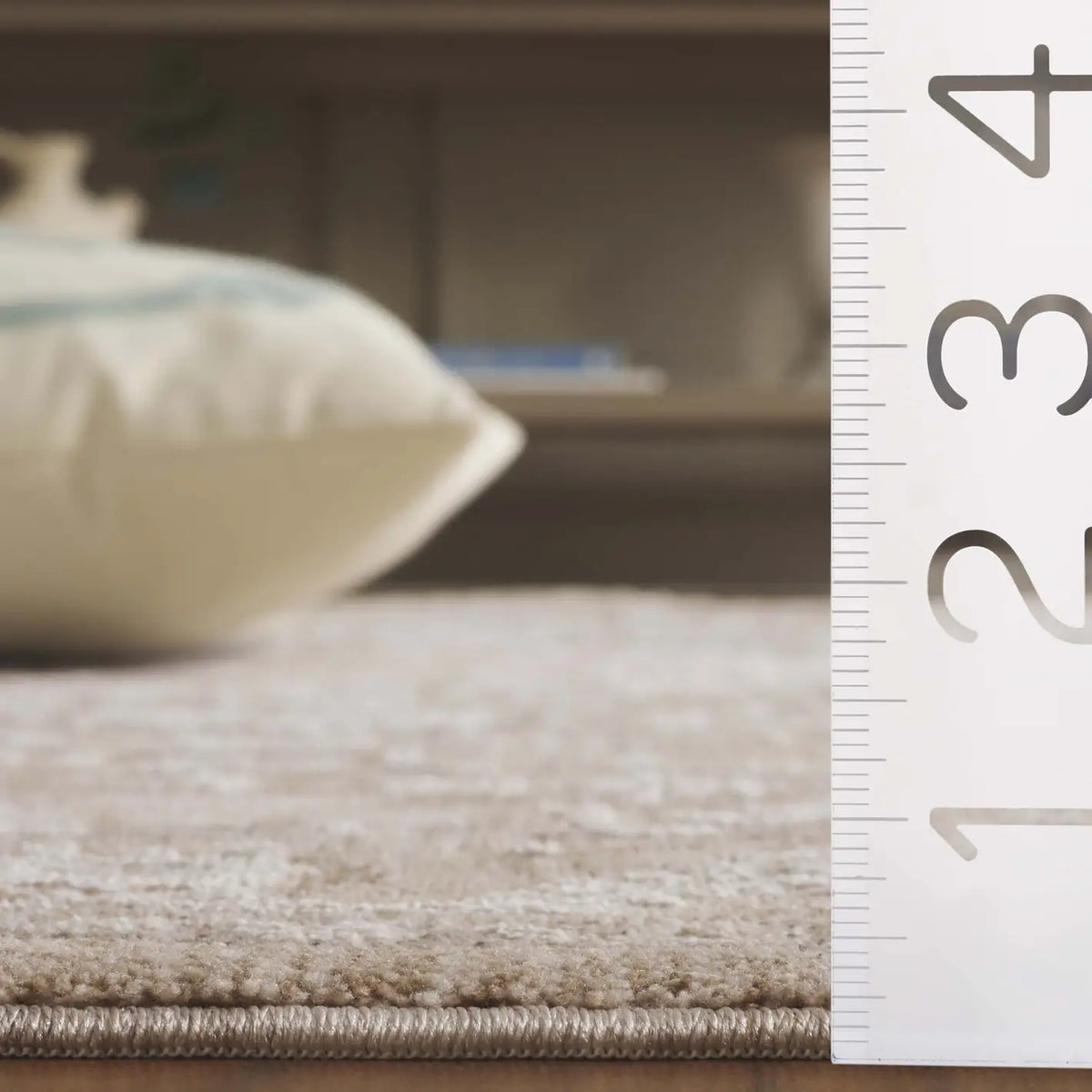 Safavieh Willow 4'-0" x 6'-0" Rug in Beige / Ivory