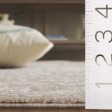 Safavieh Willow 4'-0" x 6'-0" Rug in Beige / Ivory