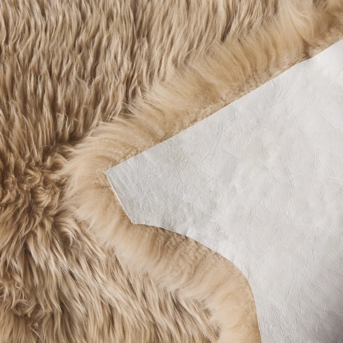 Safavieh Sheep Skin 2'-0" x 3'-0" Rug in Natural Beige