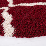 Safavieh Sgd-Dallas Shag 6'-0" x 6'-0" Rug in Red / Ivory
