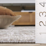 Safavieh Mila 4'-0" x 6'-0" Rug in Beige / Ivory