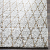 Safavieh Cape Cod 4'-0" x 6'-0" Rug in Silver / Natural