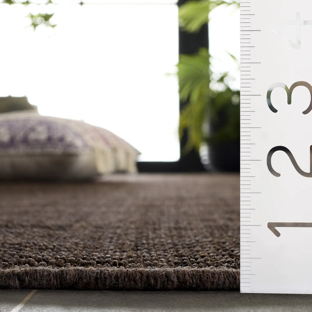 Safavieh Natural Fiber 4'-0" x 6'-0" Rug in Brown / Brown