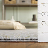 Safavieh Hamilton 4'-0" x 6'-0" Rug in Grey / Gold