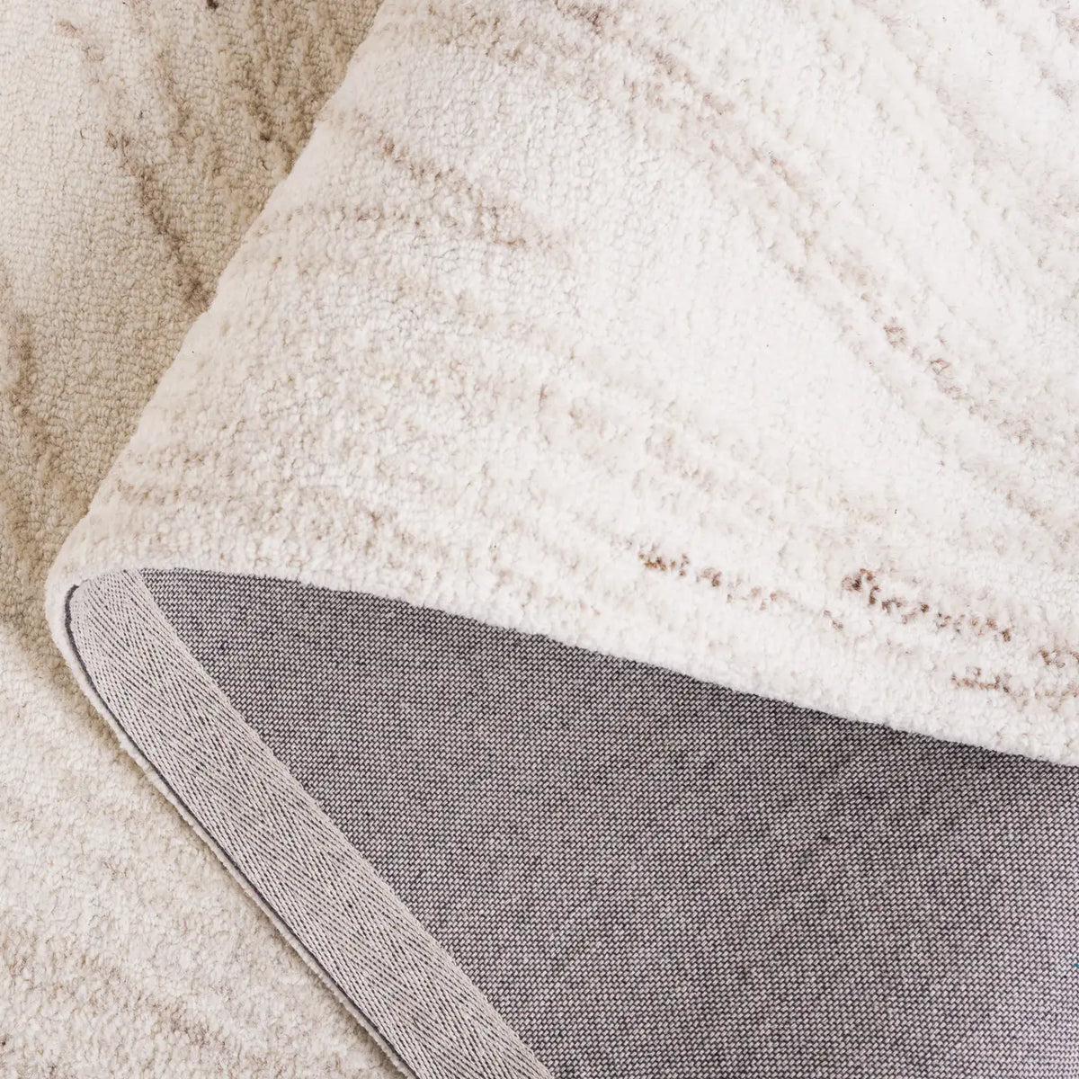 Safavieh Ebony 4'-0" x 6'-0" Rug in Ivory / Beige