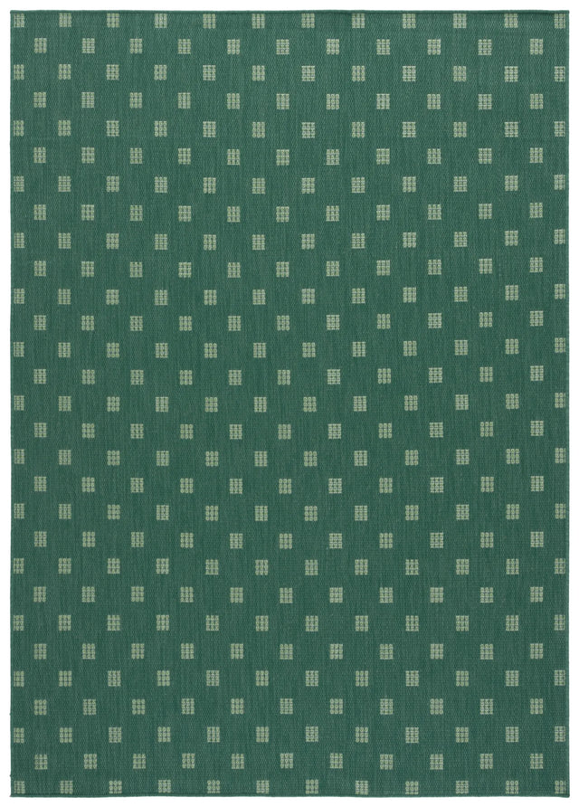 Safavieh Terrace 800 4'-0" x 6'-0" Rug in Dark Green / Light Green