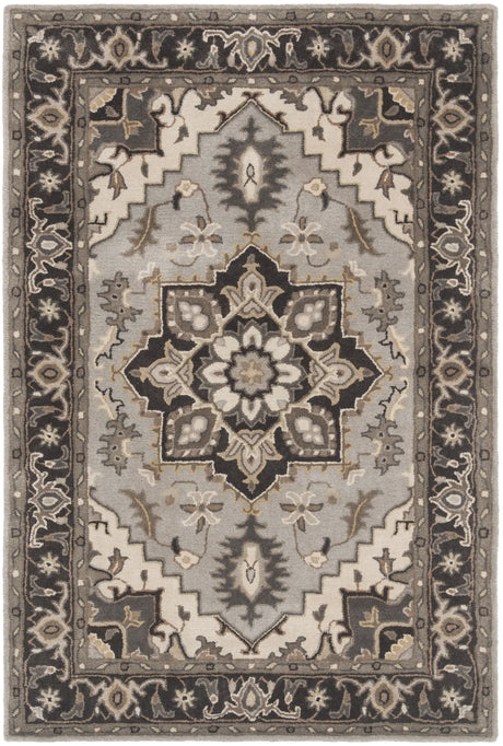 Safavieh Royalty 4'-0" x 6'-0" Rug in Silver / Charcoal