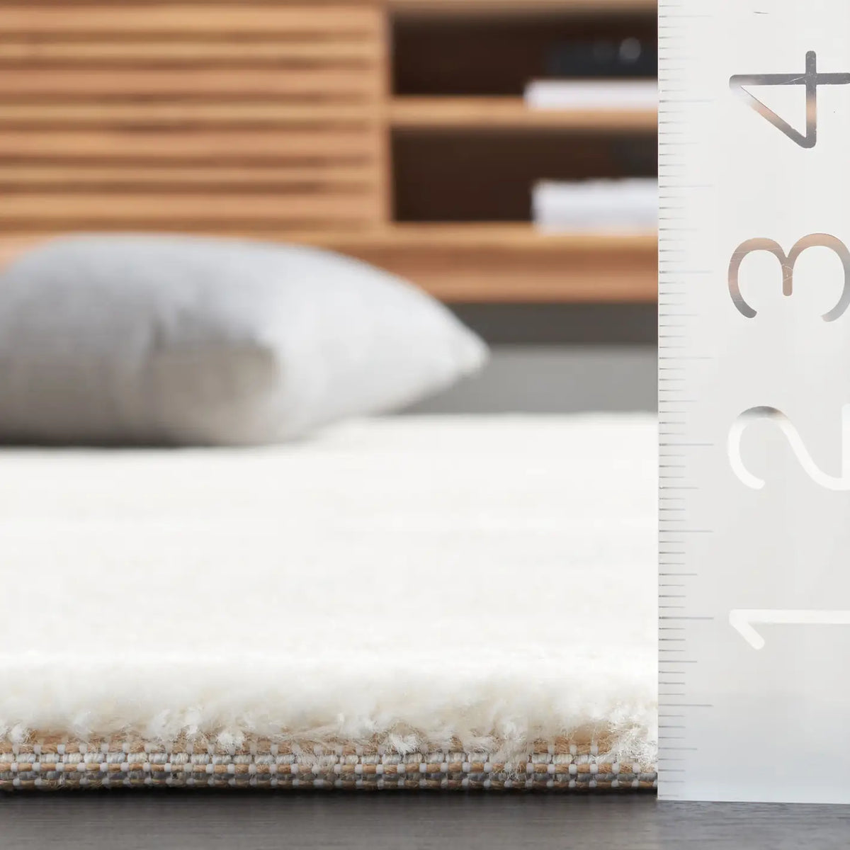 Safavieh Neptune 4'-0" x 6'-0" Rug in Ivory / Grey