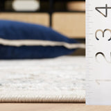 Safavieh Quincy 4'-0" x 6'-0" Rug in Ivory / Beige