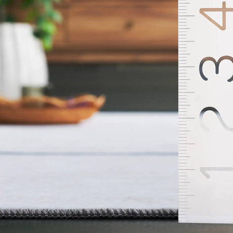 Safavieh Santa Monica 4'-0" x 6'-0" Rug in Grey / Light Grey