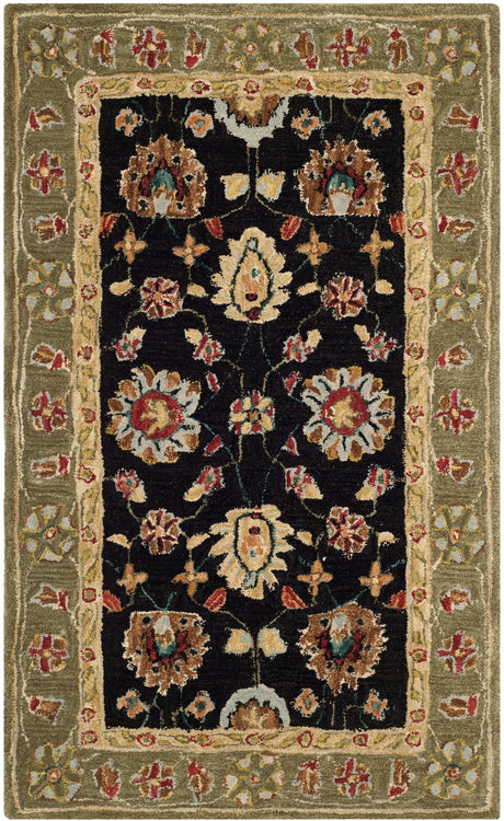 Safavieh Anatolia 3'-0" x 5'-0" Rug in Black / Green