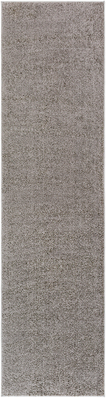 Surya Alfombra Afb-2302 Brown Area Rug