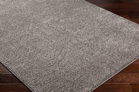 Surya Alfombra Afb-2302 Brown Area Rug