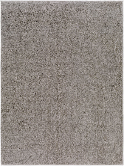 Surya Alfombra Afb-2302 Brown Area Rug