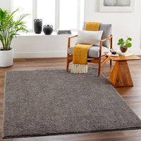 Surya Alfombra Afb-2302 Brown Area Rug