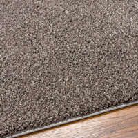 Surya Alfombra Afb-2302 Brown Area Rug