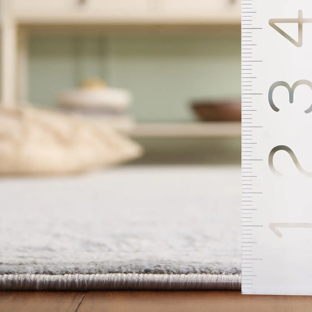 Safavieh Princeton 4'-0" x 6'-0" Rug in Grey / Beige