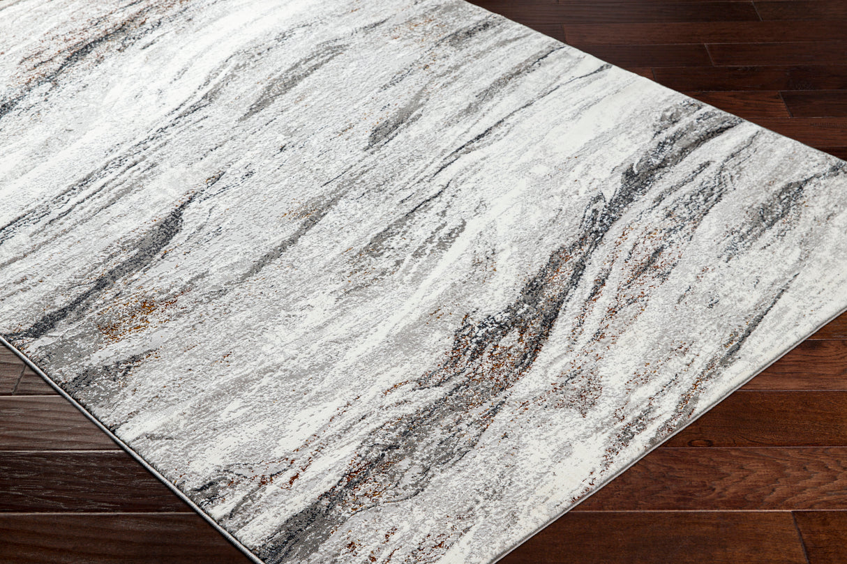 Surya Allegro Plus Agp-2307 Ivory, Charcoal, Light Gray, Black, Rust, Amber Rug.