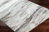 Surya Allegro Plus Agp-2307 Ivory, Charcoal, Light Gray, Black, Rust, Amber Rug.