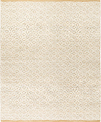 Surya Ahlat Aht-2301 Ash, Sage, Pewter Area Rug