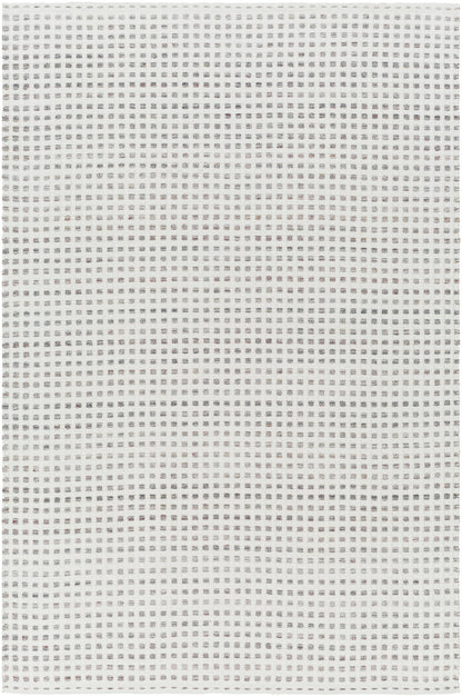 Surya Ariel Ail-2300 Light Silver, Off-White, Pale Slate, Metallic - Silver Area Rug