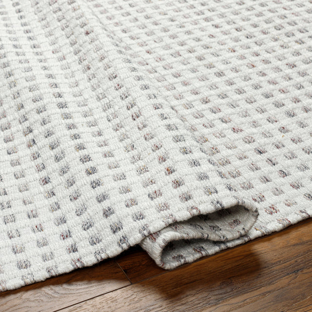 Surya Ariel Ail-2300 Light Silver, Off-White, Pale Slate, Metallic - Silver Rug.