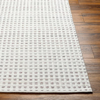 Surya Ariel Ail-2300 Light Silver, Off-White, Pale Slate, Metallic - Silver Area Rug