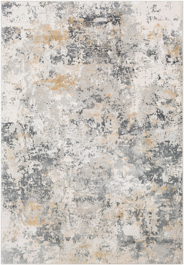 Surya Aisha Ais-2303 Charcoal, Medium Gray, Light Gray Rugs.