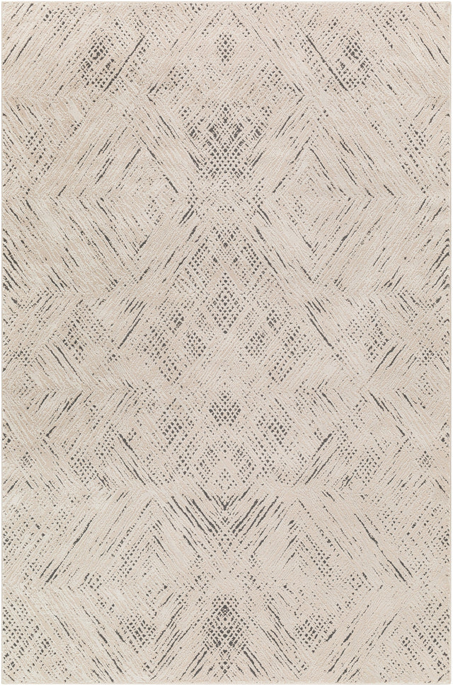 Surya Alder Ald-2313 Taupe, Ivory, Black Rug.