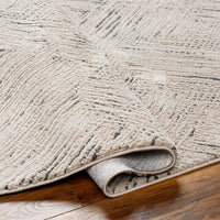 Surya Alder Ald-2313 Taupe, Ivory, Black Area Rug