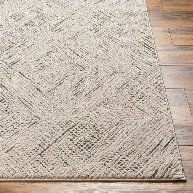 Surya Alder Ald-2313 Taupe, Ivory, Black Rug.