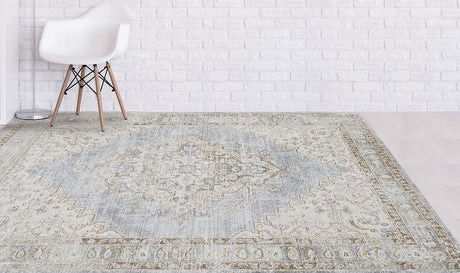 Amer Century Cen-11 Gray Ivory Rugs.