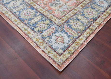 Amer Century Cen-16 Living Coral Rugs.