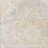 Detailed rug field with distressed medallion motifs in light ivory, gray, and gold