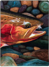 American Dakota AD Maddox Golden Catch Paint Rug - AM0262PNT234