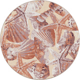American Dakota Ocean Mist Coral Rug - 0371COR234