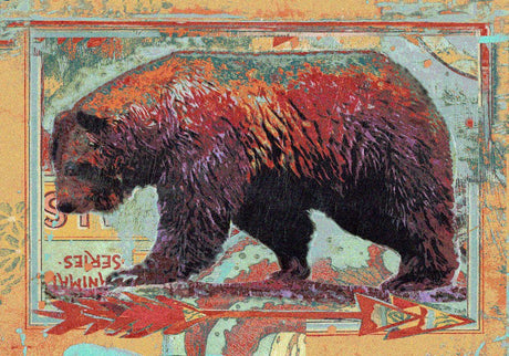 American Dakota Ruiz Walking Bear Sorbet Rug - R0222SBT234