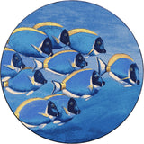 American Dakota Serenely Beautiful Ocean Blue Rug - 0145OCB234