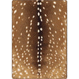 American Dakota Spotted Hide OKA Sienna Rug