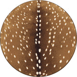 American Dakota Spotted Hide OKA Sienna Rug