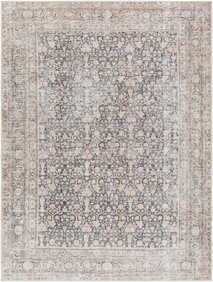 Surya Amelie Aml-2387 Black, Blush, Medium Brown, Dark Brown, Cream, Beige Area Rug