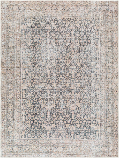 Surya Amelie Aml-2387 Black, Blush, Medium Brown, Dark Brown, Cream, Beige Rug.